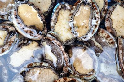 鮑魚營(yíng)養(yǎng)價(jià)值—上海食堂配送