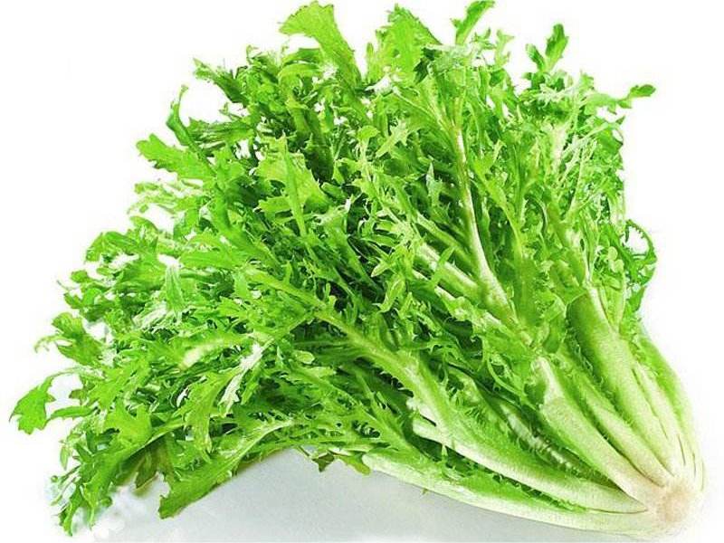 食材配送從生產(chǎn)、采摘再到蔬菜配送無(wú)縫銜接